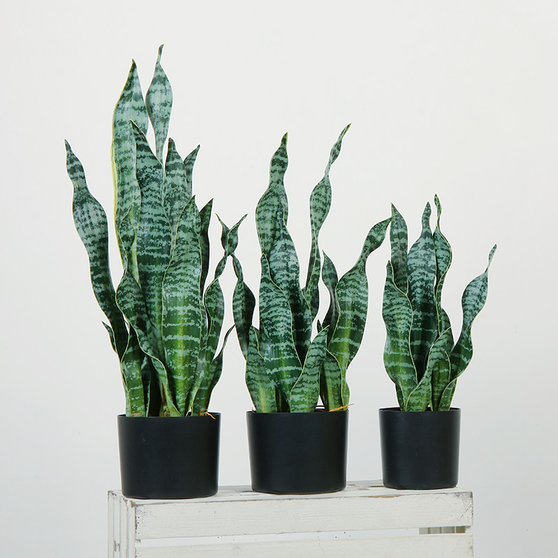 뜨거운 판매 녹색 실내 홈 플라스틱 인공 식물 거실 장식