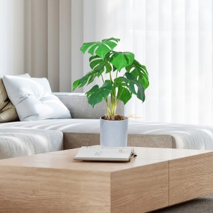 공장 직접 핫 판매 인공 녹색 장식 좋은 찾고, 진짜 감동적인 느낌으로